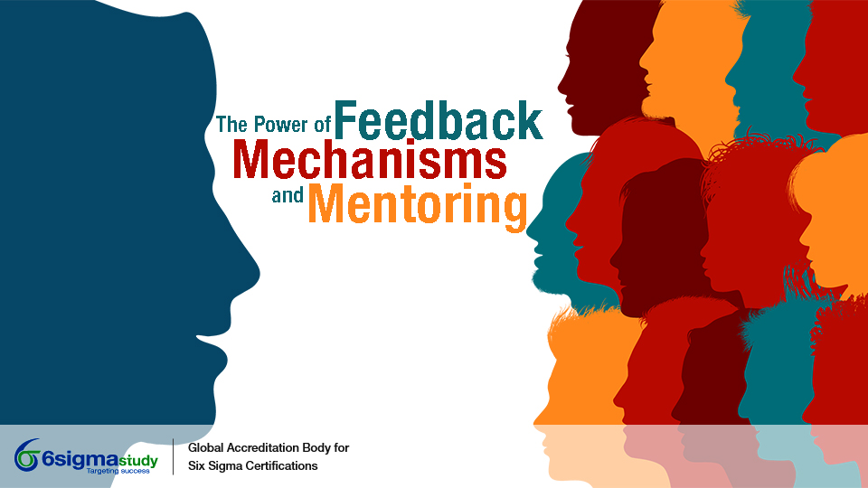 The Power of Feedback Mechanisms and Mentoring